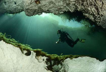 Plongée Cenotes à Playa Del Carmen Yucatan